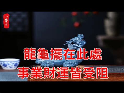 龍頭烏龜身|古今神獸：龍龜傳説